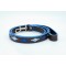 Ascot Embroidered Leather Dog Lead