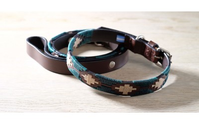Make your dog stand out in a crowd!
