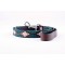 Beige and Green Embroidered Leather Dog Lead
