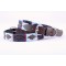 Whistler Embroidered Leather Dog Collar